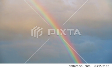 雨後天空出現彩虹的風景(埼玉縣川口市) 雨後天空出現彩虹的風景(埼玉縣川口市) 83459446