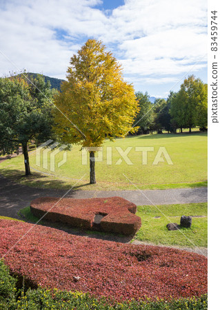 Road Station Tsukiyono Yase Water Park Road Station Tsukiyono Yase Water Park 83459744