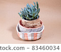 Stack Ceramic handmade bowl and plates and succulent plant 83460034