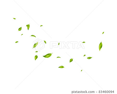 Green leaves banner. Fresh tea. Organic, eco, vegan design. Leaf falling on white background. Herbal vegetarian. Beauty product. Fresh mint. Foliage ornament. Cosmetic frame. Vector illustration 83460094