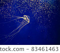 水族館和水母 83461463