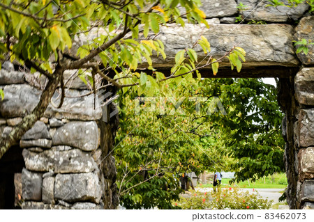 Okinawa scenery, plants, fruits, Ishigaki, castle ruins, etc. 83462073