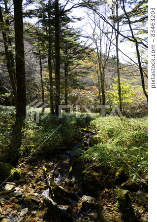 Otagichihara長廊 83463203