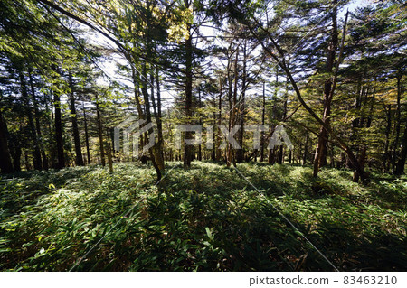 Otagichihara長廊 Otagichihara長廊 83463210