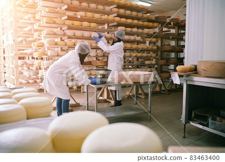 business woman team in local cheese production company business woman team in local cheese production company 83463400