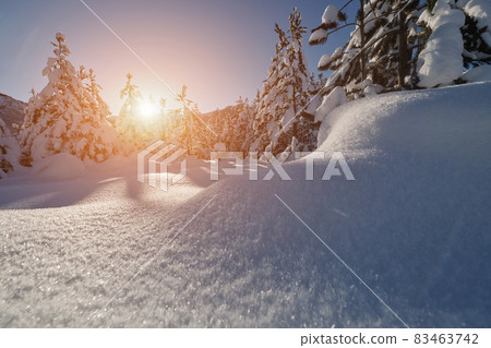 winter sunrise with fresh snow covered forest and mountains winter sunrise with fresh snow covered forest and mountains 83463742