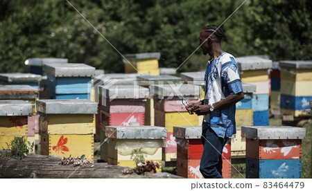 african beekeeper local black honey producer 83464479