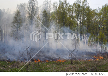 Forest fire Lots of smoke and fire 83464722