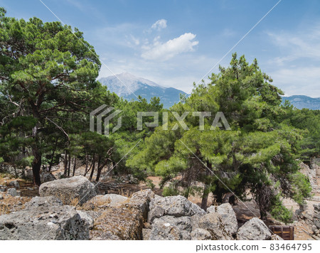 Mountain Tahtali Dagi, also known as Lycian Olympus among forests. Spring landscape. Turkey. 83464795