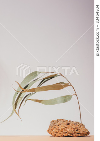 Natural cosmetic mock-up brown stone Natural cosmetic mock-up brown stone 83464934