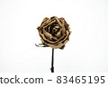 Roses withered on white background. 83465195
