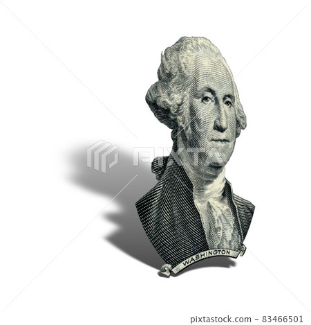 President Washington George portrait 83466501