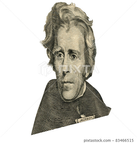 President Andrew Jackson portrait. 83466515