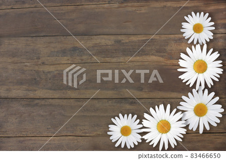 Beautiful daisies. Gorgeous texture old brown wood. Frame of flowers. Background Beautiful daisies. Gorgeous texture old brown wood. Frame of flowers. Background 83466650