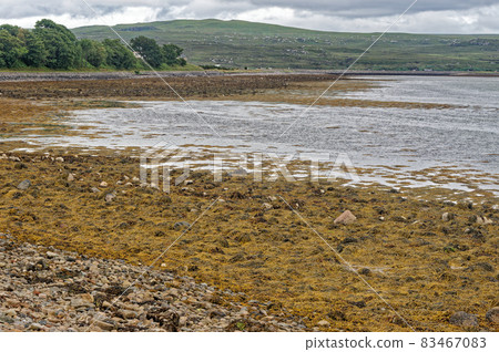 North Coast 500 Route - Travel Destination - Scotland North Coast 500 Route - Travel Destination - Scotland 83467083