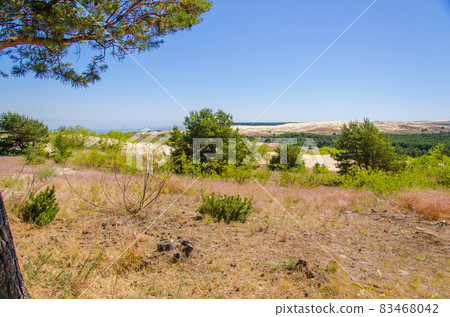 Dunes near fishing village Nida, Curonian Spit, Baltic sea, Lithuania 83468042