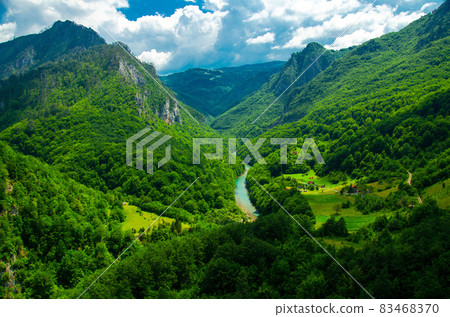 Mountain range and forests of Tara river gorge canyon, Montenegro 83468370