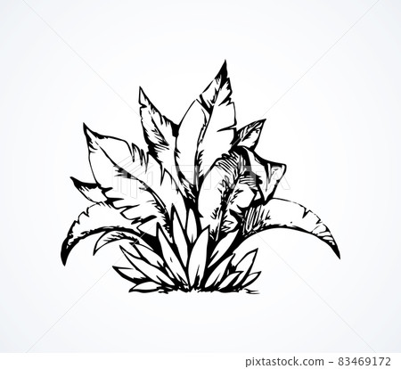 hard to kill plants Hard to Kill Bundle
