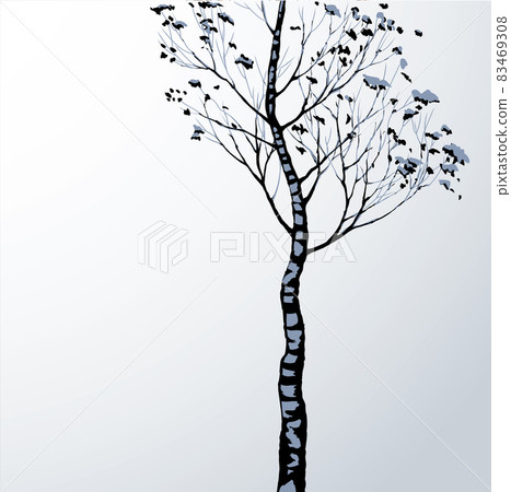 Birch. Vector drawing black pattern Birch. Vector drawing black pattern 83469308