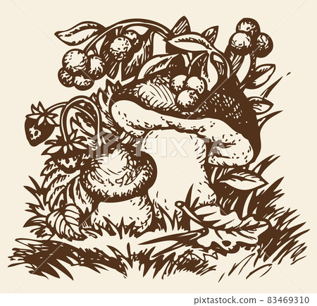 Vector sketch mushrooms, strawberries and blueberries Vector sketch mushrooms, strawberries and blueberries 83469310