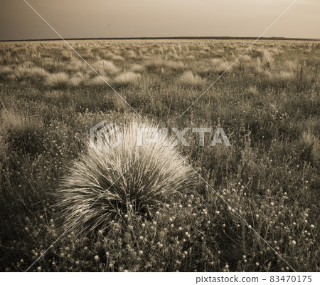 Flowery landscape in vintage color effect 83470175