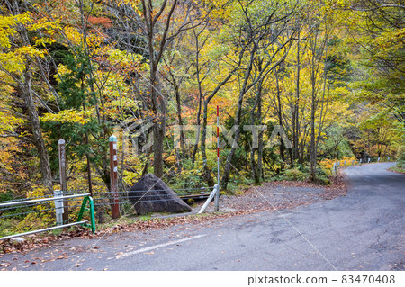 Autumn Teruhakyo, Minakami Town, Gunma Prefecture Autumn Teruhakyo, Minakami Town, Gunma Prefecture 83470408