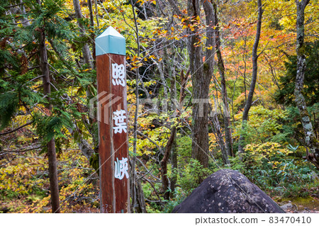 Autumn Teruhakyo, Minakami Town, Gunma Prefecture 83470410