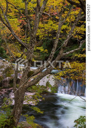 群馬縣水上町秋照箱峽 群馬縣水上町秋照箱峽 83470437
