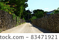 A typical road in a village on Taketomi Island 83471921