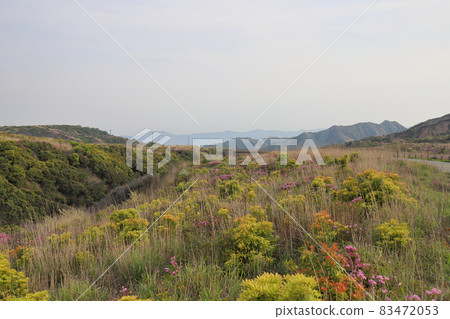 從阿蘇中岳方向和阿蘇山脈的多彩火山口周圍 從阿蘇中岳方向和阿蘇山脈的多彩火山口周圍 83472053