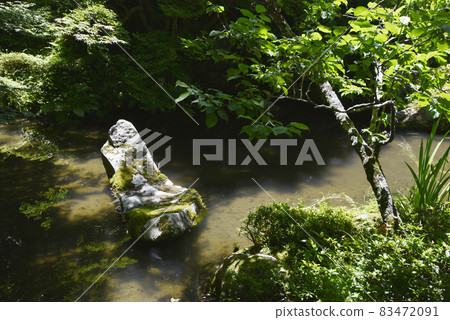 金剛林寺明真院花園滋賀縣 金剛林寺明真院花園滋賀縣 83472091