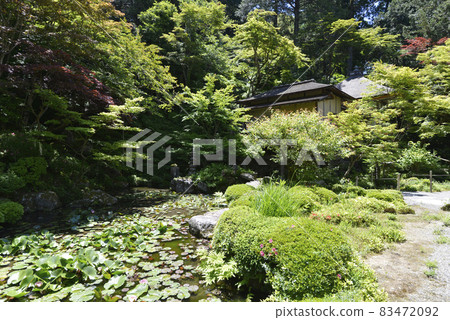 Kongorinji Temple Myojuin Garden Shiga Prefecture Kongorinji Temple Myojuin Garden Shiga Prefecture 83472092