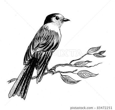 Bird sitting on a tree branch. Ink black and white drawing 83472251