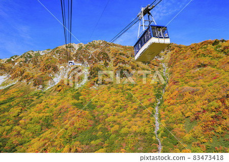 Tateyama Kurobe Alpine Route in full bloom in autumn colors Kurobedaira-Daikanbo Tateyama Kurobe Alpine Route in full bloom in autumn colors Kurobedaira-Daikanbo 83473418