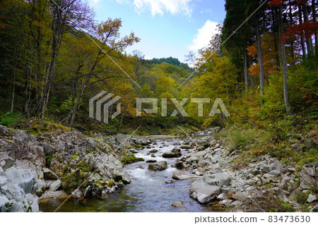 川上川上游潺潺公路上的秋葉 川上川上游潺潺公路上的秋葉 83473630