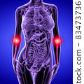 3d rendered illustration of the hand bone 83473736
