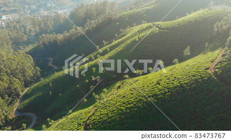 Aerial view of drone tea plantations in the vicinity of the city of Munnar. Kerala. India. 83473767