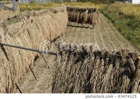 Hazakake (Akiruno, Tokyo) 83474125