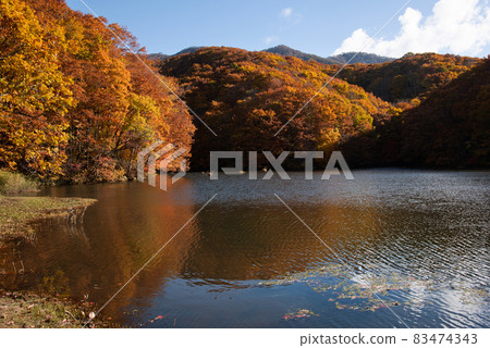 裡磐梯秋天的鋸齒沼沼 83474343
