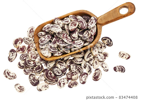 Christmas lima beans Christmas lima beans 83474408