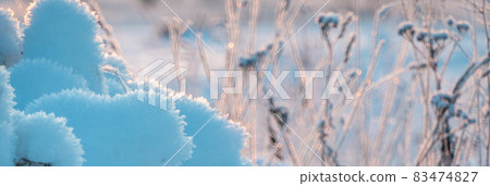 grass in large drifts after snowfalls and blizzards, the winter season with cold weather and a lot of precipitation in the form of snow cover the grass and dry plants grass in large drifts after snowfalls and blizzards, the winter season with cold weather and a lot of precipitation in the form of snow cover the grass and dry plants 83474827