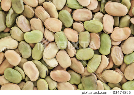fava (broad) bean fava (broad) bean 83474896