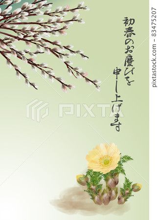 New Year's card of pussy willow and Adonis ramosa New Year's card of pussy willow and Adonis ramosa 83475207