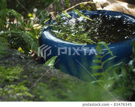 A chozubachi that makes you feel Japanese with the slight ripples and the green that shines on the surface of the water A chozubachi that makes you feel Japanese with the slight ripples and the green that shines on the surface of the water 83476345