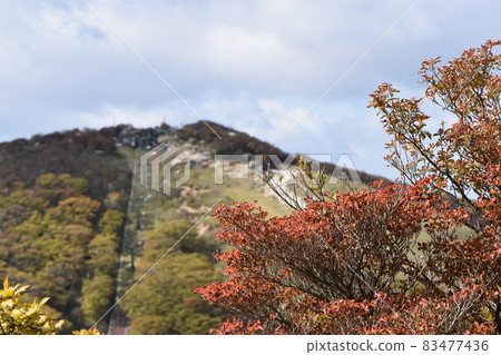 Autumn blue sky, red fruits and autumn leaves 83477436