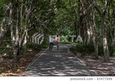 Two young men enjoying a bike ride on a sunny day in a city park. Healthcare Concept. Two young men enjoying a bike ride on a sunny day in a city park. Healthcare Concept. 83477898