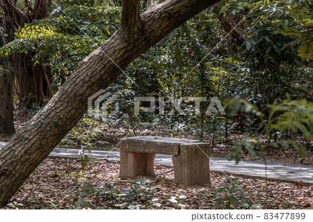 Old wooden benches for relaxation in a park. Old wooden benches for relaxation in a park. 83477899