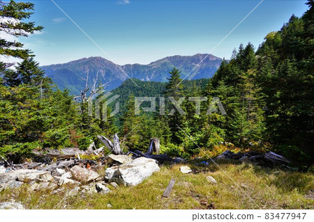 奧克豪斯山北側的荒川山和赤石山 83477947