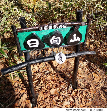 雛田山登山道 雛田山登山道 83478009