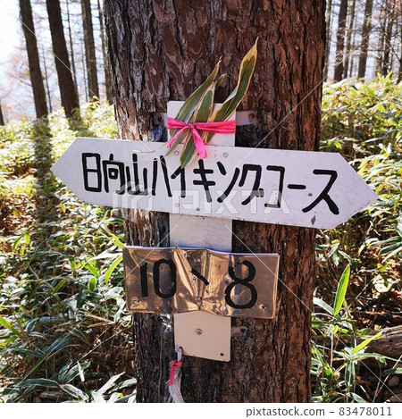 雛田山登山道 雛田山登山道 83478011